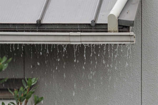 雨樋のチェック